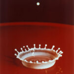 Milk drop coronet by Harold Edgerton, 1957